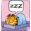 Garfield Sleeping Cat Zzz