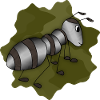 Ant