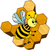 Insect