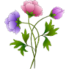 Fleur