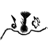 strange objects