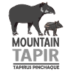 Tapiro di montagna Animale Motivo Tapir Famiglia