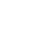 Ride or Die