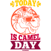 Today Is Camel Day