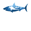 Real Men Love Diving
