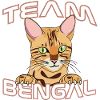 Équipe Bengal Cat Design