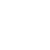 A Master Seamstress