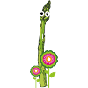 asperges, asperges vertes