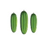 Chuchoteur de concombre