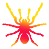 Spider, arachnid