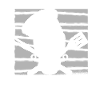 Grillen Grillmeister BBQ