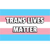 Trans Pride TRANS LIVES MATTER