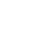 Labradoodle Papa