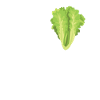 I love lettuce