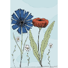 Poppy & Cornflower