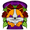 Cat boy