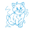 Garçon de chat