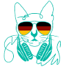 Cool cat