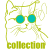 Garçon de chat