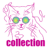 Cat boy