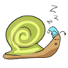 escargot sommeil fatigué animal nuit