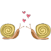 snail lovers animals love couples