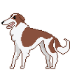 Barsoi