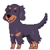 Gordon Setter