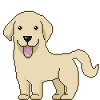 Labrador