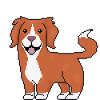 Toller, Apportierhund