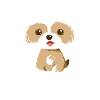 Unleash the Beast