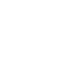 Project Manager