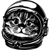 Katze Astronaut