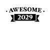 Funny Birthday Awesome 2029