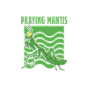 Gottesanbeterin Mantis Fangschrecke