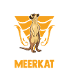 Erdmännchen Meerkat