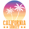 Palm trees
