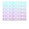 Kickboxing Rétro