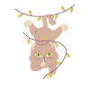 hanging cat