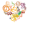 Snake Serpent Heart