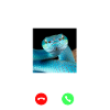 Snake Serpent Phone Display Snake