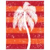 Palm trees
