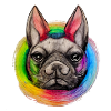 Rainbow Dog French Bulldog