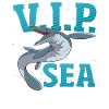 Marine Reptile Mosasaur Paleontology