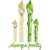 famille des asperges,asperges,asperges blanches,famille