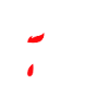 Cerveau de poulet