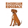 Rhodesian Ridgeback Anatomie Hundehalter Spazierga