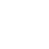 Palm Trees - Hawaii