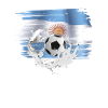 Flag af Argentina Argentina Fodbold