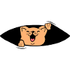 Baby cat
